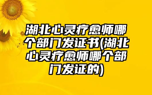 湖北心靈療愈師哪個部門發(fā)證書(湖北心靈療愈師哪個部門發(fā)證的)