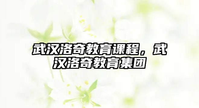 武漢洛奇教育課程，武漢洛奇教育集團