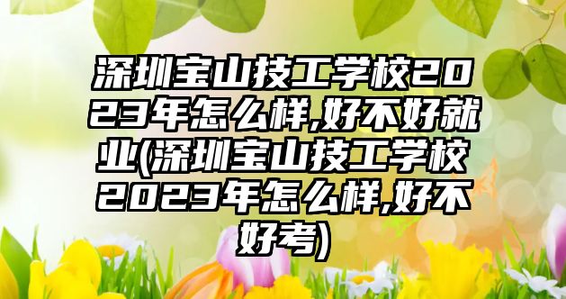 深圳寶山技工學(xué)校2023年怎么樣,好不好就業(yè)(深圳寶山技工學(xué)校2023年怎么樣,好不好考)