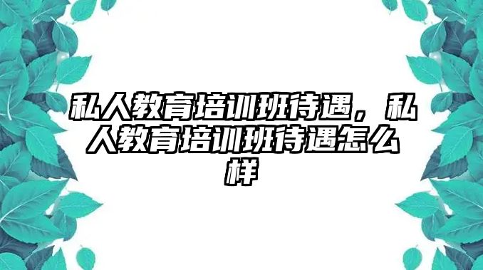 私人教育培訓班待遇，私人教育培訓班待遇怎么樣