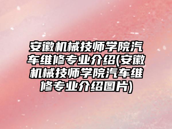 安徽機械技師學(xué)院汽車維修專業(yè)介紹(安徽機械技師學(xué)院汽車維修專業(yè)介紹圖片)