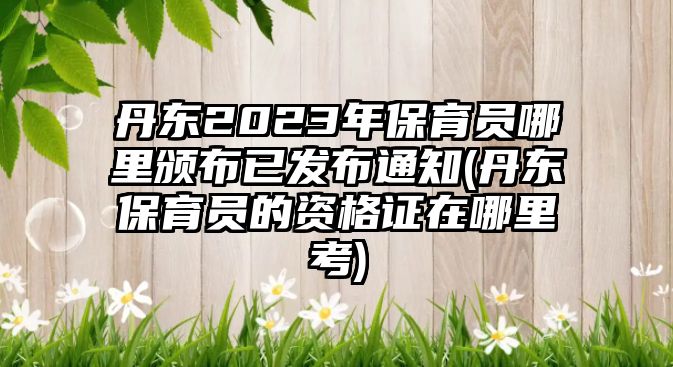 丹東2023年保育員哪里頒布已發(fā)布通知(丹東保育員的資格證在哪里考)