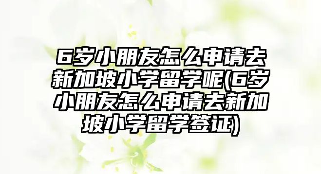 6歲小朋友怎么申請(qǐng)去新加坡小學(xué)留學(xué)呢(6歲小朋友怎么申請(qǐng)去新加坡小學(xué)留學(xué)簽證)