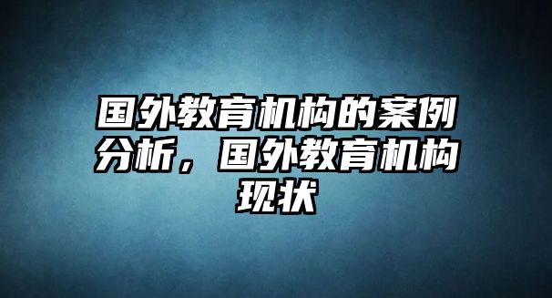 國外教育機構的案例分析，國外教育機構現(xiàn)狀