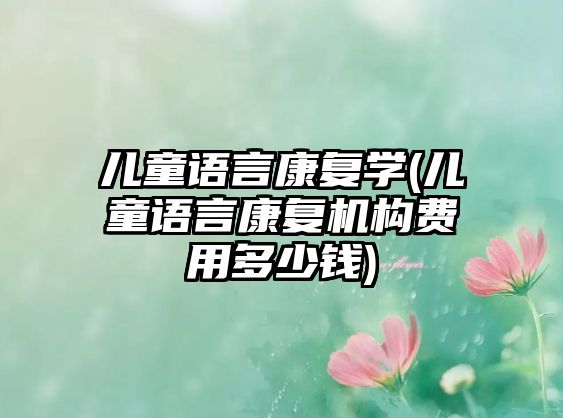 兒童語言康復(fù)學(xué)(兒童語言康復(fù)機(jī)構(gòu)費(fèi)用多少錢)