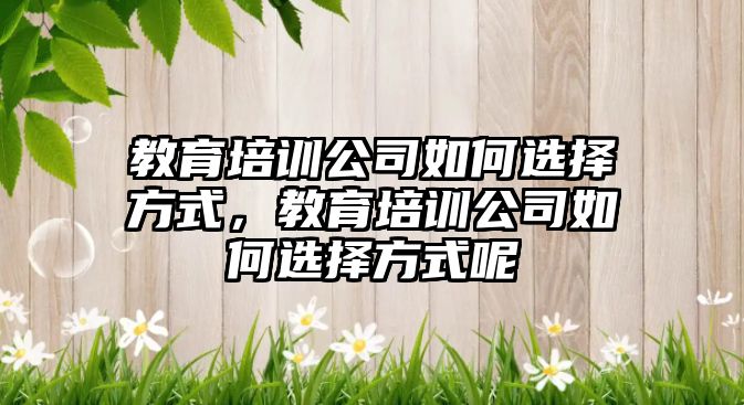 教育培訓公司如何選擇方式，教育培訓公司如何選擇方式呢