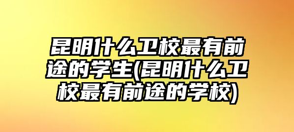 昆明什么衛(wèi)校最有前途的學生(昆明什么衛(wèi)校最有前途的學校)