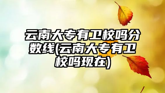 云南大專有衛(wèi)校嗎分?jǐn)?shù)線(云南大專有衛(wèi)校嗎現(xiàn)在)