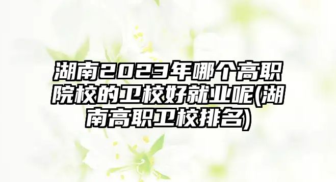 湖南2023年哪個(gè)高職院校的衛(wèi)校好就業(yè)呢(湖南高職衛(wèi)校排名)