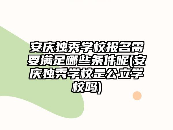 安慶獨(dú)秀學(xué)校報(bào)名需要滿足哪些條件呢(安慶獨(dú)秀學(xué)校是公立學(xué)校嗎)