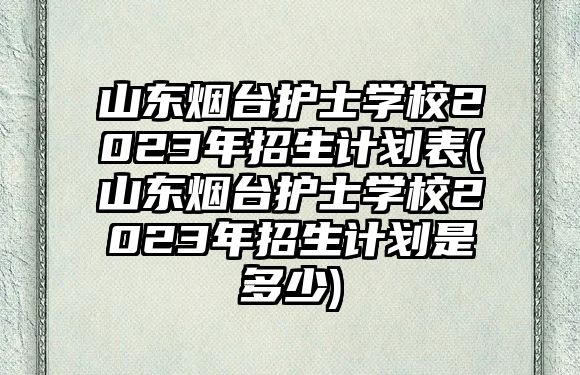 山東煙臺護士學(xué)校2023年招生計劃表(山東煙臺護士學(xué)校2023年招生計劃是多少)