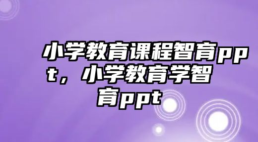 小學(xué)教育課程智育ppt，小學(xué)教育學(xué)智育ppt