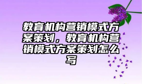 教育機構(gòu)營銷模式方案策劃，教育機構(gòu)營銷模式方案策劃怎么寫