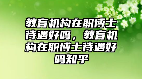 教育機(jī)構(gòu)在職博士待遇好嗎，教育機(jī)構(gòu)在職博士待遇好嗎知乎