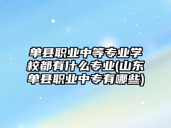 單縣職業(yè)中等專業(yè)學(xué)校都有什么專業(yè)(山東單縣職業(yè)中專有哪些)