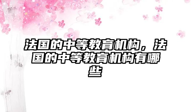 法國(guó)的中等教育機(jī)構(gòu)，法國(guó)的中等教育機(jī)構(gòu)有哪些