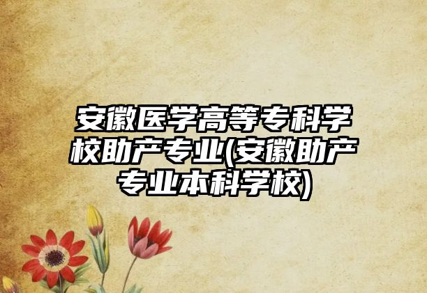 安徽醫(yī)學(xué)高等專科學(xué)校助產(chǎn)專業(yè)(安徽助產(chǎn)專業(yè)本科學(xué)校)