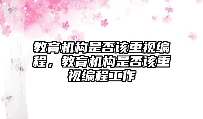 教育機(jī)構(gòu)是否該重視編程，教育機(jī)構(gòu)是否該重視編程工作