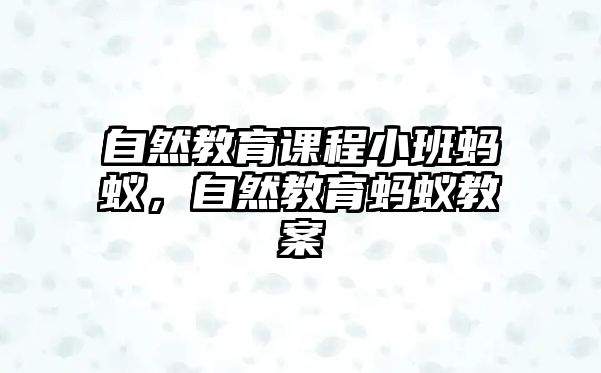 自然教育課程小班螞蟻，自然教育螞蟻教案