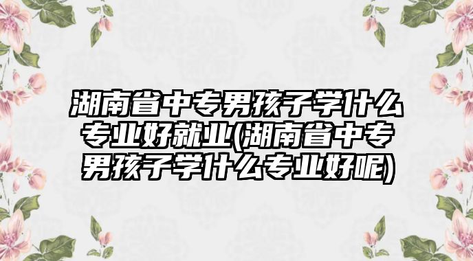 湖南省中專男孩子學什么專業(yè)好就業(yè)(湖南省中專男孩子學什么專業(yè)好呢)