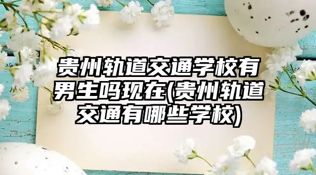 貴州軌道交通學校有男生嗎現在(貴州軌道交通有哪些學校)