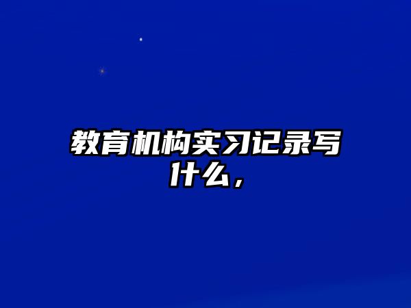 教育機構(gòu)實習(xí)記錄寫什么，