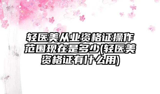 輕醫(yī)美從業(yè)資格證操作范圍現(xiàn)在是多少(輕醫(yī)美資格證有什么用)