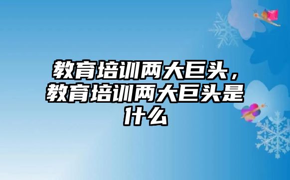 教育培訓(xùn)兩大巨頭，教育培訓(xùn)兩大巨頭是什么