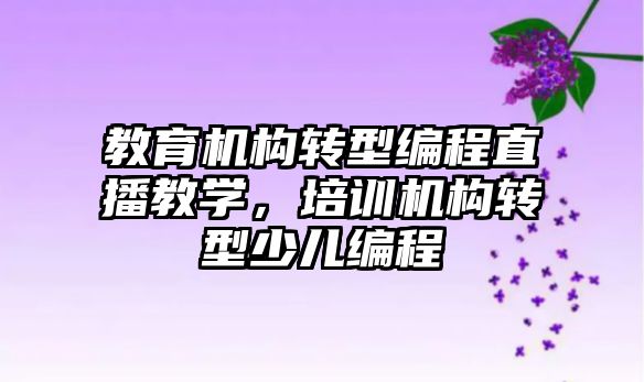 教育機構轉型編程直播教學，培訓機構轉型少兒編程