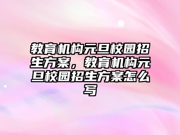 教育機構(gòu)元旦校園招生方案，教育機構(gòu)元旦校園招生方案怎么寫