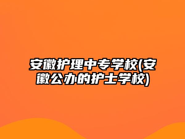 安徽護(hù)理中專學(xué)校(安徽公辦的護(hù)士學(xué)校)