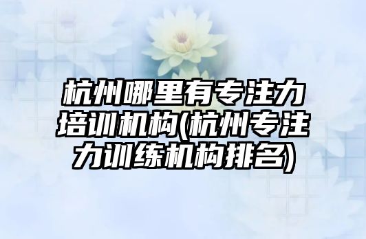 杭州哪里有專注力培訓機構(gòu)(杭州專注力訓練機構(gòu)排名)