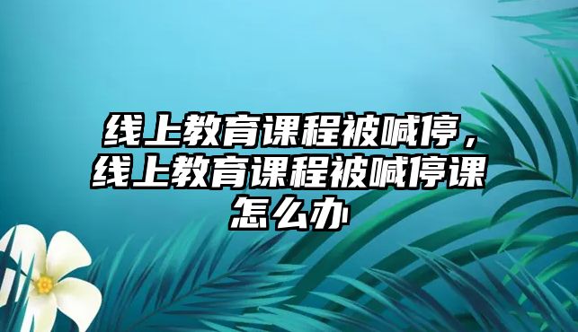 線上教育課程被喊停，線上教育課程被喊停課怎么辦