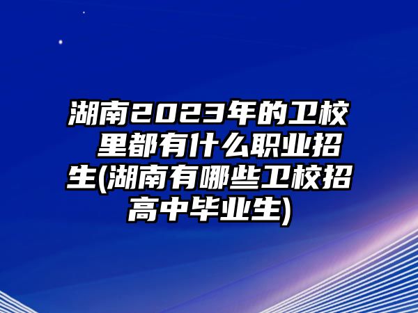 湖南2023年的衛(wèi)校 里都有什么職業(yè)招生(湖南有哪些衛(wèi)校招高中畢業(yè)生)