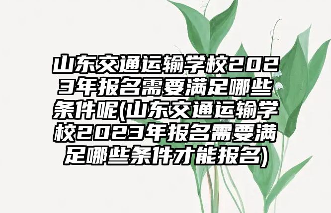 山東交通運(yùn)輸學(xué)校2023年報名需要滿足哪些條件呢(山東交通運(yùn)輸學(xué)校2023年報名需要滿足哪些條件才能報名)