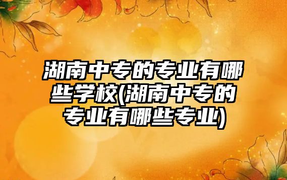 湖南中專的專業(yè)有哪些學校(湖南中專的專業(yè)有哪些專業(yè))