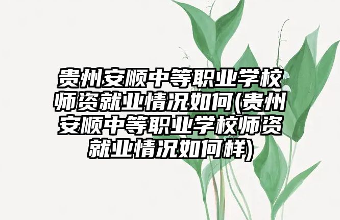 貴州安順中等職業(yè)學(xué)校師資就業(yè)情況如何(貴州安順中等職業(yè)學(xué)校師資就業(yè)情況如何樣)