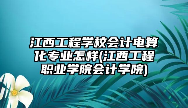 江西工程學(xué)校會(huì)計(jì)電算化專業(yè)怎樣(江西工程職業(yè)學(xué)院會(huì)計(jì)學(xué)院)