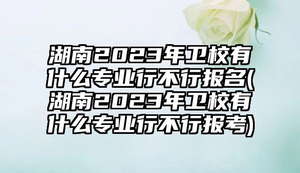 湖南2023年衛(wèi)校有什么專(zhuān)業(yè)行不行報(bào)名(湖南2023年衛(wèi)校有什么專(zhuān)業(yè)行不行報(bào)考)