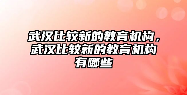 武漢比較新的教育機(jī)構(gòu)，武漢比較新的教育機(jī)構(gòu)有哪些