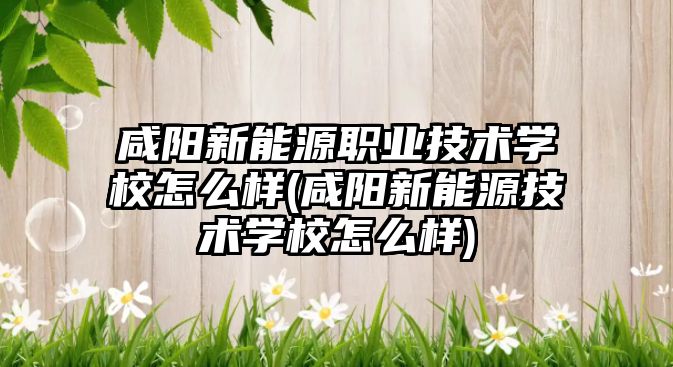 咸陽新能源職業(yè)技術學校怎么樣(咸陽新能源技術學校怎么樣)