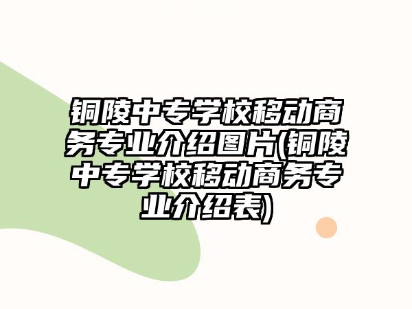 銅陵中專學校移動商務專業(yè)介紹圖片(銅陵中專學校移動商務專業(yè)介紹表)