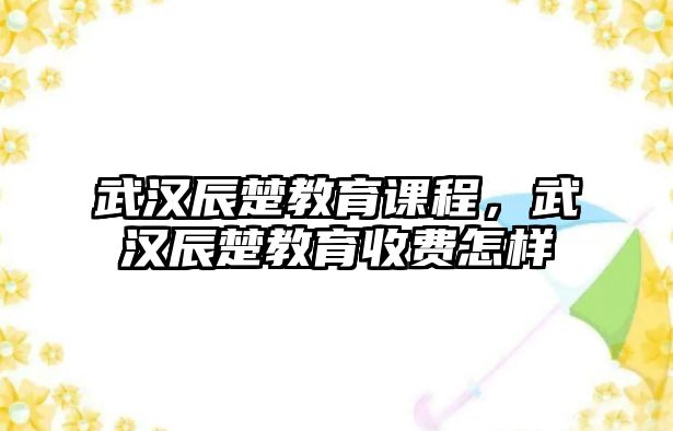 武漢辰楚教育課程，武漢辰楚教育收費怎樣