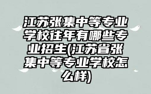 江蘇張集中等專業(yè)學(xué)校往年有哪些專業(yè)招生(江蘇省張集中等專業(yè)學(xué)校怎么樣)