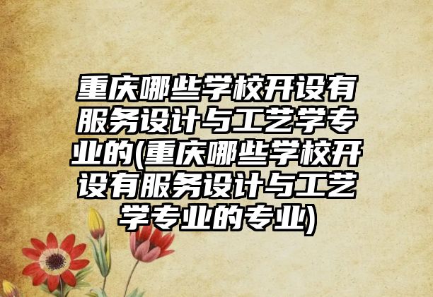 重慶哪些學校開設有服務設計與工藝學專業(yè)的(重慶哪些學校開設有服務設計與工藝學專業(yè)的專業(yè))