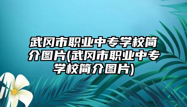 武岡市職業(yè)中專學(xué)校簡(jiǎn)介圖片(武岡市職業(yè)中專學(xué)校簡(jiǎn)介圖片)