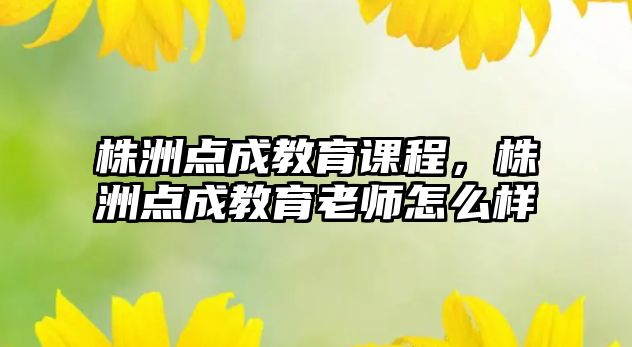 株洲點(diǎn)成教育課程，株洲點(diǎn)成教育老師怎么樣