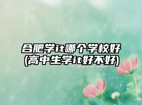 合肥學(xué)it哪個(gè)學(xué)校好(高中生學(xué)it好不好)