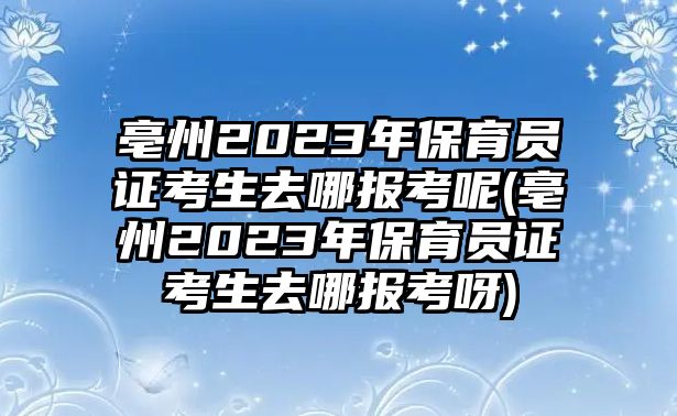 亳州2023年保育員證考生去哪報考呢(亳州2023年保育員證考生去哪報考呀)