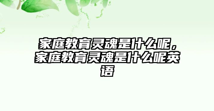 家庭教育靈魂是什么呢，家庭教育靈魂是什么呢英語